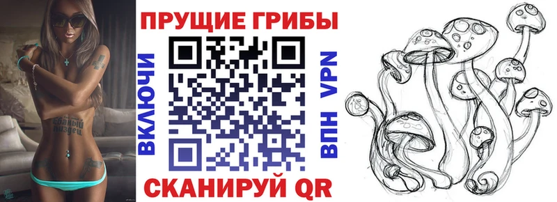 Псилоцибиновые грибы Psilocybine cubensis  Анжеро-Судженск 