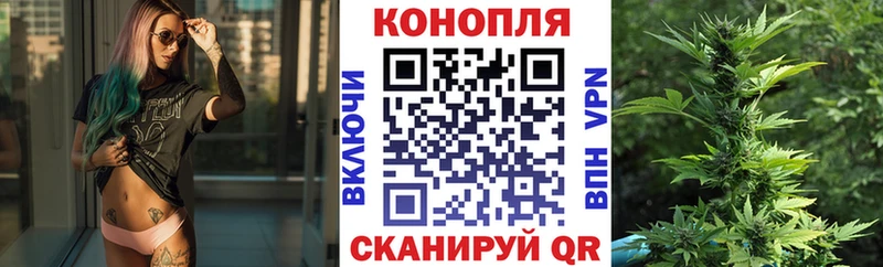 Конопля Bruce Banner  Анжеро-Судженск 